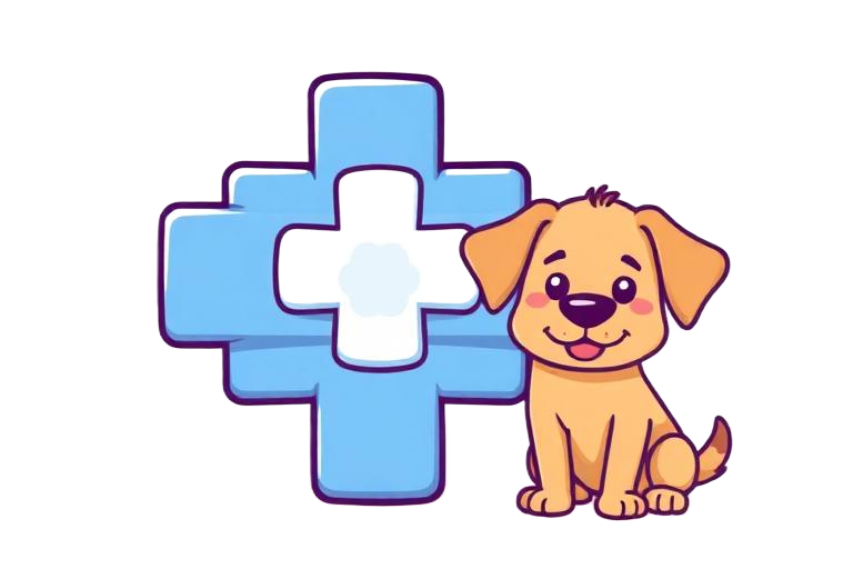 Four Paws Kennel Blog - Monsoon paw care in Hyderabad